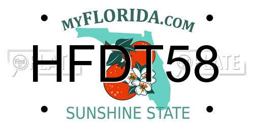 HFDT58 Florida License Plate