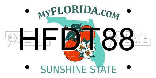 HFDT88 Florida License Plate