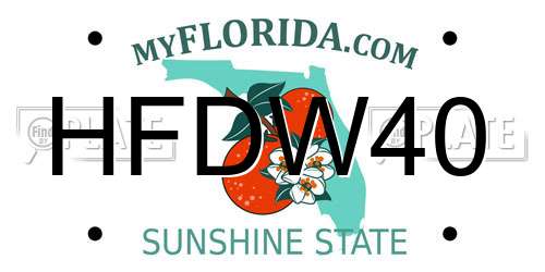 HFDW40 Florida License Plate