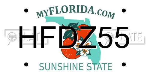 HFDZ55 Florida License Plate