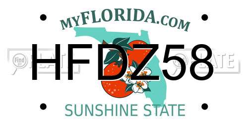 HFDZ58 Florida License Plate