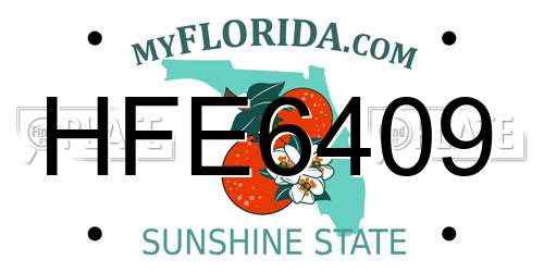 HFE6409 Florida License Plate