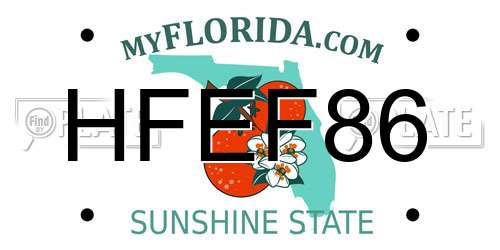 HFEF86 Florida License Plate