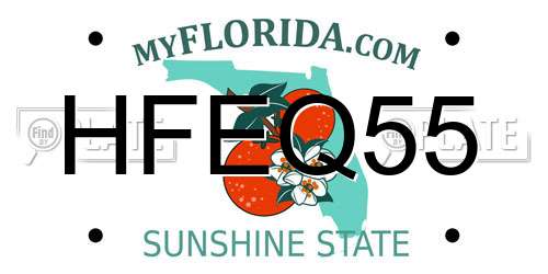 HFEQ55 Florida License Plate