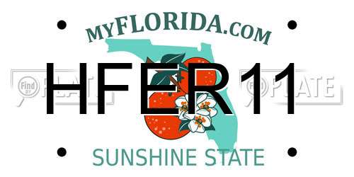 HFER11 Florida License Plate