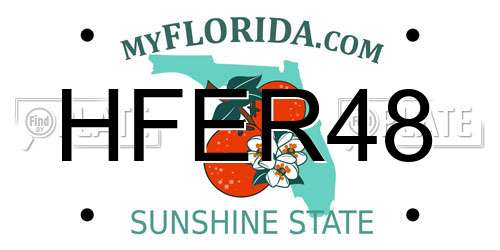 HFER48 Florida License Plate