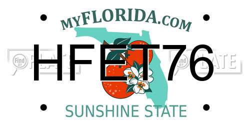 HFET76 Florida License Plate