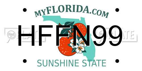 HFFN99 Florida License Plate
