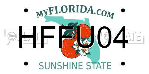 HFFU04 Florida License Plate