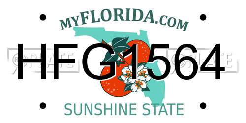 HFG1564 Florida License Plate