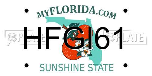 HFGI61 Florida License Plate