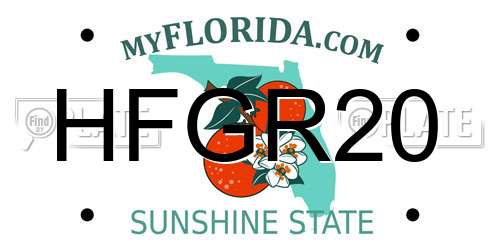 HFGR20 Florida License Plate