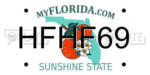 HFHF69 Florida License Plate