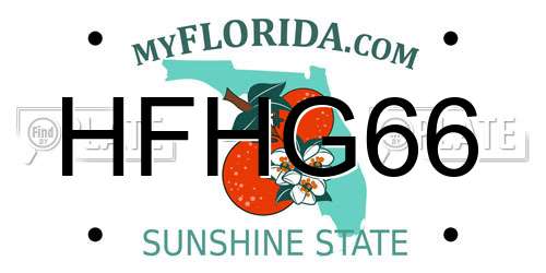 HFHG66 Florida License Plate