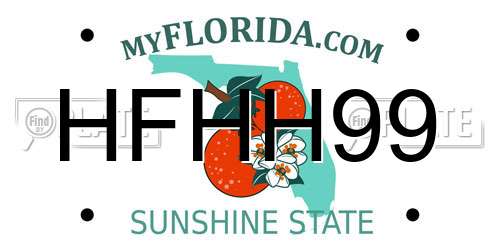HFHH99 Florida License Plate