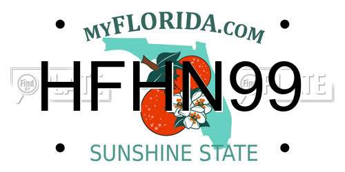 HFHN99 Florida License Plate