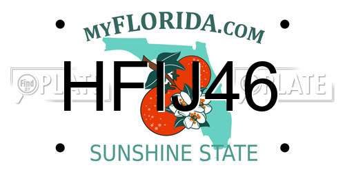 HFIJ46 Florida License Plate
