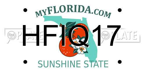 HFIQ17 Florida License Plate