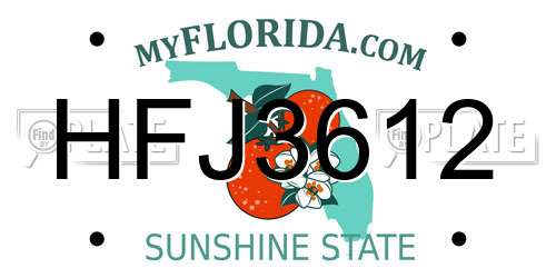 HFJ3612 Florida License Plate