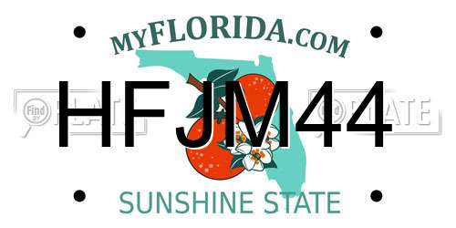 HFJM44 Florida License Plate