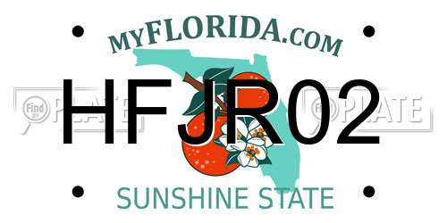 HFJR02 Florida License Plate