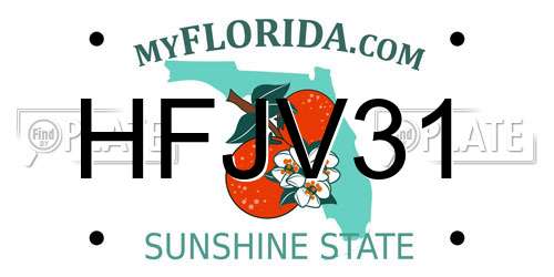 HFJV31 Florida License Plate