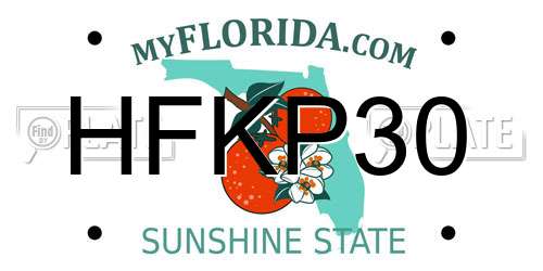 HFKP30 Florida License Plate