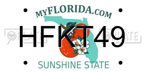 HFKT49 Florida License Plate