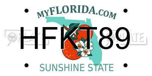 HFKT89 Florida License Plate