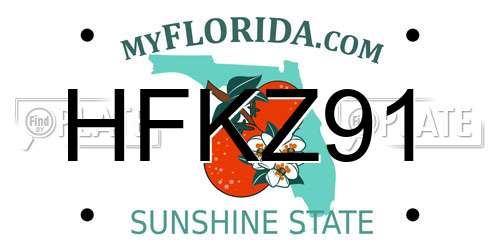HFKZ91 Florida License Plate