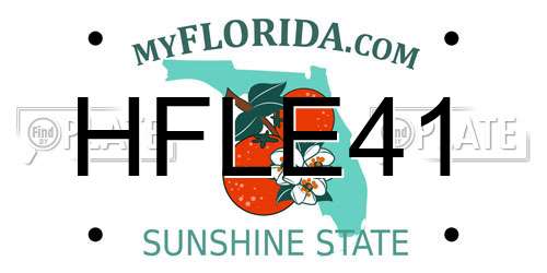 HFLE41 Florida License Plate