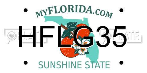 HFLG35 Florida License Plate