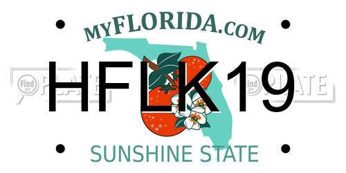 HFLK19 Florida License Plate