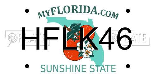 HFLK46 Florida License Plate