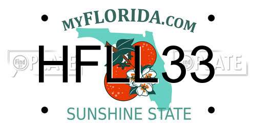 HFLL33 Florida License Plate