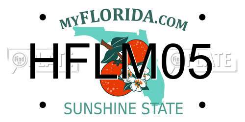 HFLM05 Florida License Plate