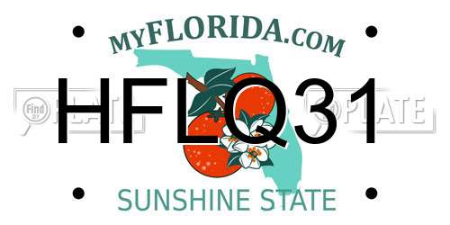 HFLQ31 Florida License Plate