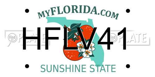 HFLV41 Florida License Plate
