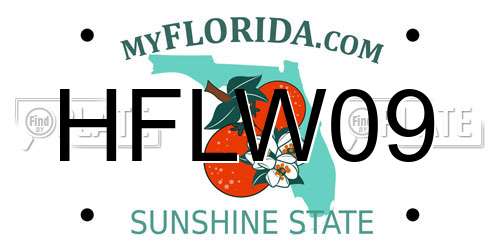 HFLW09 Florida License Plate