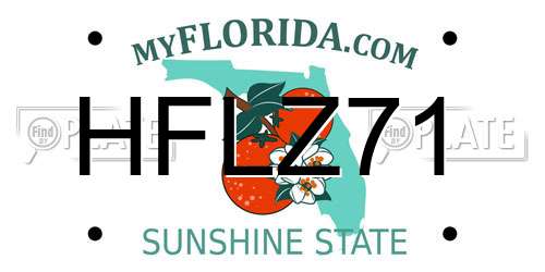 HFLZ71 Florida License Plate