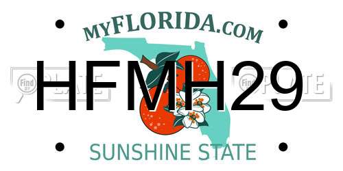 HFMH29 Florida License Plate