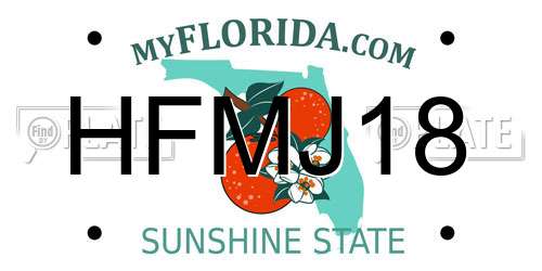 HFMJ18 Florida License Plate