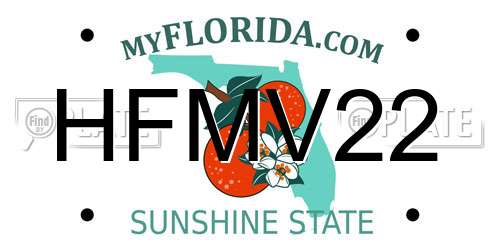HFMV22 Florida License Plate