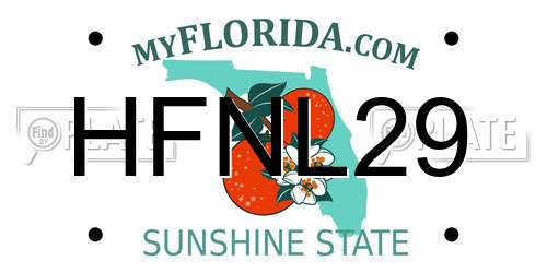 HFNL29 Florida License Plate