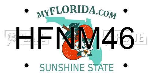 HFNM46 Florida License Plate