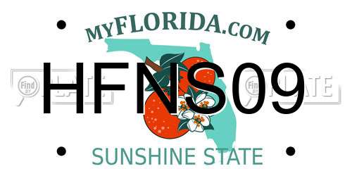 HFNS09 Florida License Plate