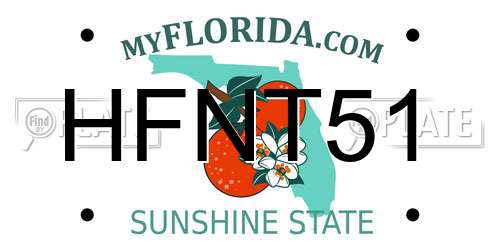 HFNT51 Florida License Plate