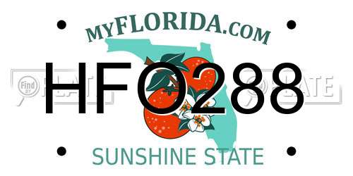 HFO288 Florida License Plate