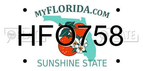 HFO758 Florida License Plate