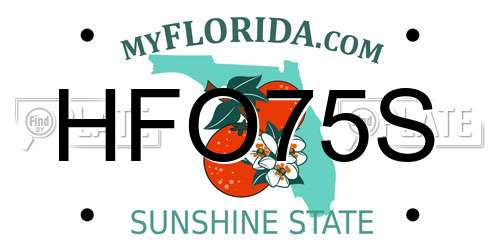 HFO75S Florida License Plate